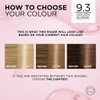 L'Oreal Excell 9.3 Light Golden Blonde
