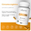 VIZANA NUTRITION | Cúrcuma Organica c/Piperina y Curcumina en Cápsulas