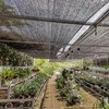 Yeson 5'10''x100ft - 60% Shade Cloth Roll, Black Sunblock Mesh