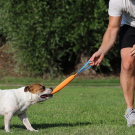 K9 Dog Bite Tug Toy with 2 Strong Handle - Made of Durable & Tear-Resistant Fire Hose - Perfect for Tug of War, Fetch & Puppy Training - Ideal Pull Toy for Medium to Large Dogs, 10 Inches