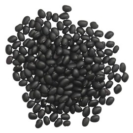 Organic Black Turtle Beans | Heirloom | NON-GMO | USA GROWN | Frijoles Tortuga | Bulk (15 Pounds)