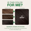 Naturigin Hair Colour - Permanent - Ebony - 1 Count
