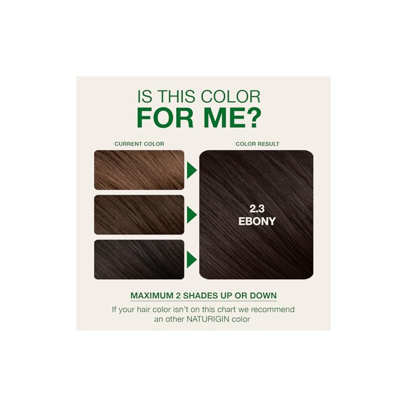 Naturigin Hair Colour - Permanent - Ebony - 1 Count