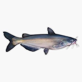 Blue Catfish Waterproof Vinyl Window Bumper Sticker Decal 5"