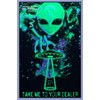 Take Me To Your Dealer Blacklight Poster 23 x 35in
