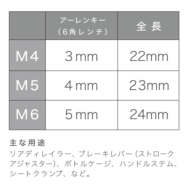 Ruler Stainless Steel Bolt Set, 6 Pieces, M5 x 18