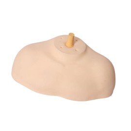 perfeclan Schultermodell Schaufensterpupplung Kopfständer Haarteil Haarteil Haarteil Halterung für Friseur Shop Manikin Head Display