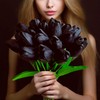 20pcs Black Flowers Artificial Silk Tulips Fake Flowers 13.5" for