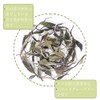 50g Fukuchi White Peony White Tea, Rich in Antioxidants, No