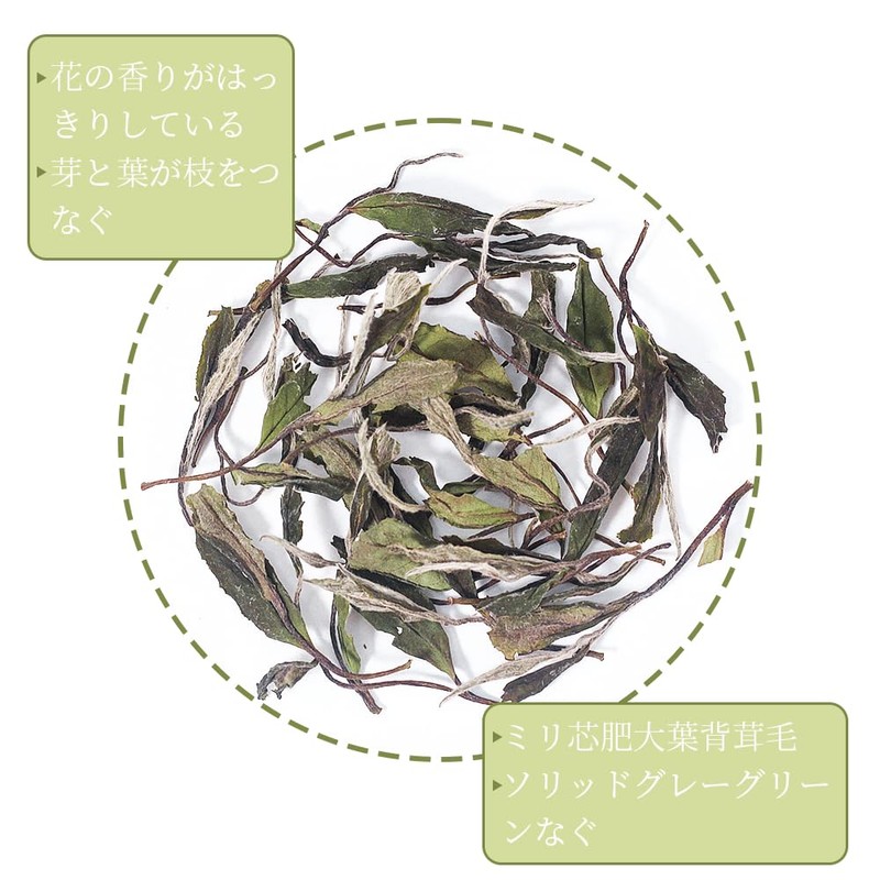 50g Fukuchi White Peony White Tea, Rich in Antioxidants, No