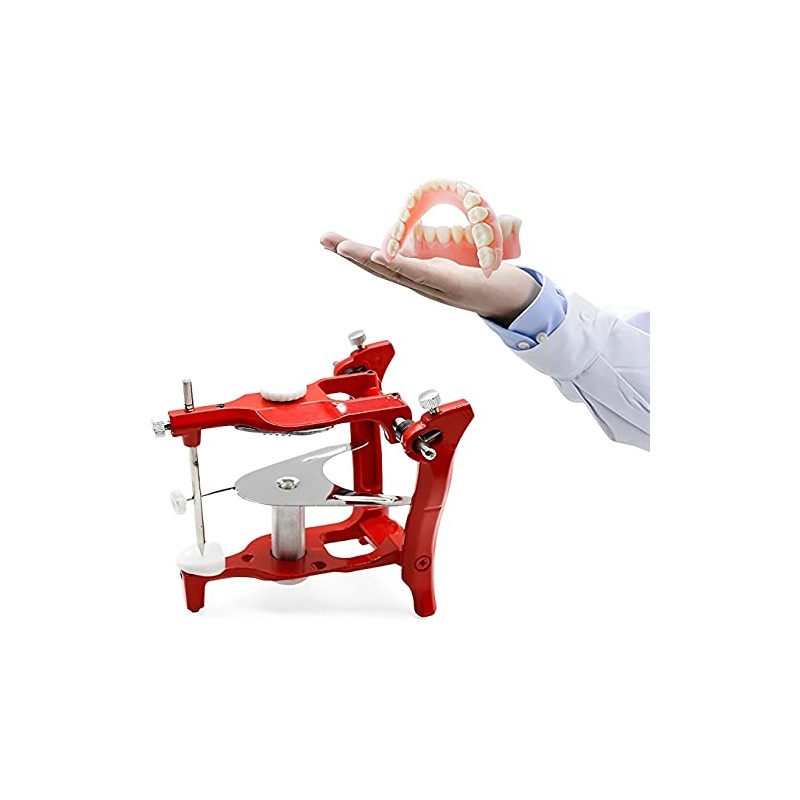 Articulator for Denture Model Lab Equipment Product European Type