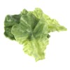 diyhub 10 Pcs Fake Lettuce Leaves Artificial Green Vegetables Plastic