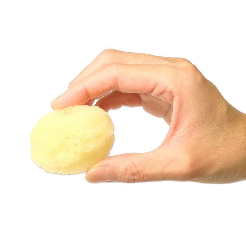 Toysfan Natural Sea Sponge Silk, Size 5 (Approx. 2.0 inches