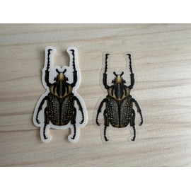 Goliath Beetle Sticker, Clear Vinyl Insect Decal, Entomology Sticker, Bug Decal