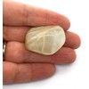 Moonstone Large Crystal Tumble Stone - 1 Pc