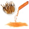 Hongo Cordyceps Orgánico Bolsa De 1 Kg Aumenta Resistencia