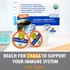 SOLLO Chaga Mushroom Coffee Pods, Infused, Compatible With 2.0 K-Cup