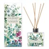 Michel Design Works Home Fragrance Reed Diffuser, Eucalyptus & Mint