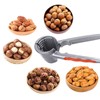 Nutcracker Walnut Hazelnuts Nut Cracker Multifunctional Home Nutcracker with Non-Slip