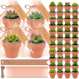 54 Pcs Succulent Cactus Candles Set, Mini Tealight Candles Baby Showers Cactus Plant Decorations with Mini Terracotta Clay Candle Holders for Wedding Birthday Anniversary Celebration Wedding Party