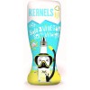 Brandfusion Ltd. Kernels Popcorn Seasoning Salt and Vinegar 110g (3