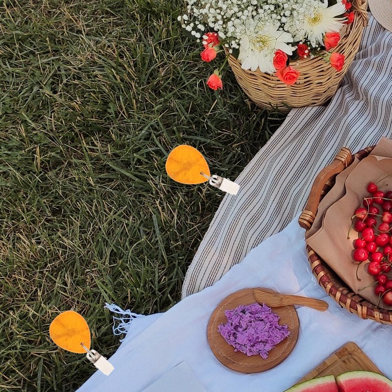 4pcs Windproof Tablecloth Weights Decorative Clips for Picnic Tablecloths Outdoor