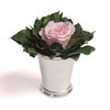 ROSEMARIE SCHULZ Heidelberg Infinity Flower in Silver Cup 1 Eternal