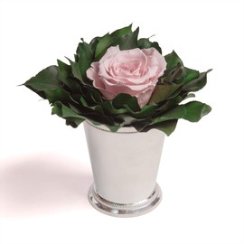 ROSEMARIE SCHULZ Heidelberg Infinity Flower in Silver Cup 1 Eternal Rose Preserved Bouquet Long Lasting (Pink, 1 Rose)