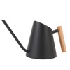 Watering Can with Long Spout 800ml Stainless Steel Matte Indoor