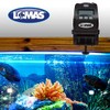 Fancy Pets Lomas Alimentador Automático para Peces Programable con Pantalla