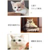 Rouly Cat Toy, Play Alone, Prevent Loneliness, Brush Teeth, Relieve