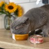 Scrumbles Scrumbles Wet Cat Pate Classic Selection 6 x 80g
