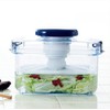 Squirrel R-10 Instant Pickle Container, Round Shape, Clear Blue, 29.4