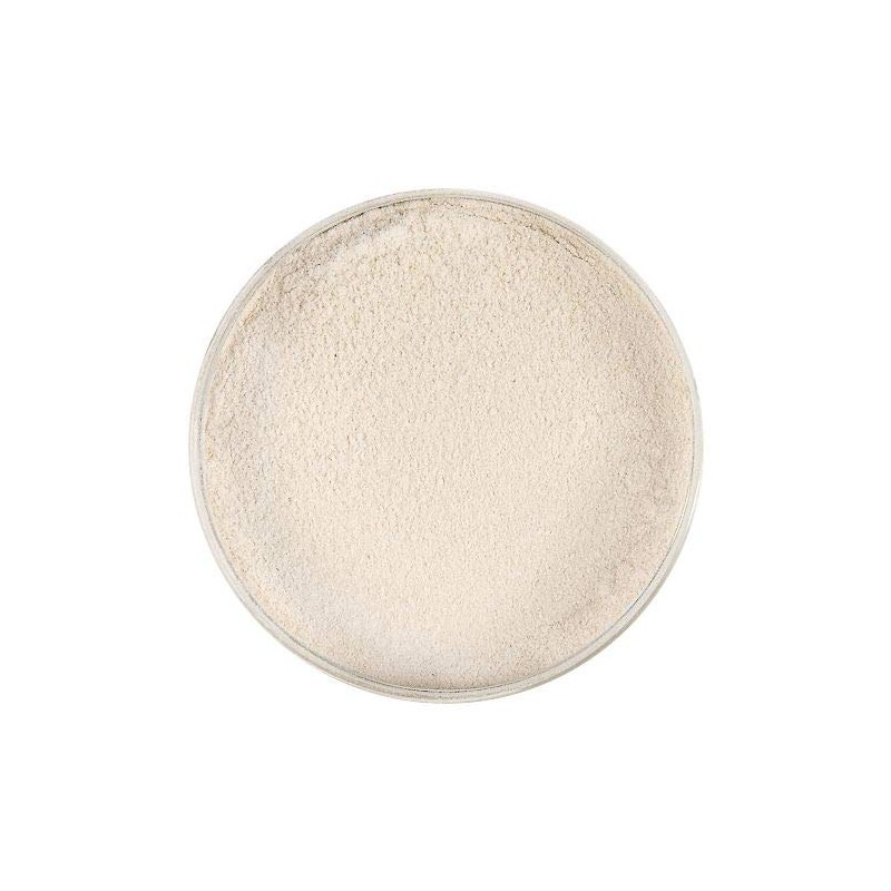 Chef Rubber Pectin Pate de Fruit 1.1 Pound