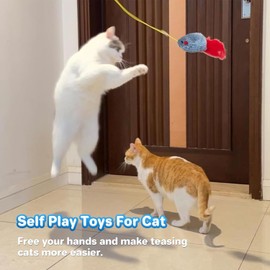 Cat Toy, Interactive Cat Toy for Indoor Cats, Adult Kittens, Door Hanging Hunting Exercise Toy with Catnip, Captivating Entertainment for Adult Cats and Kittens