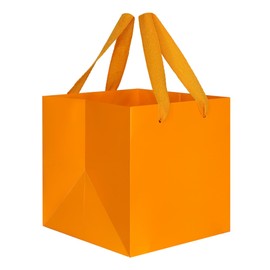 IN-JOOYAA Orange Square Gift Bags Paper Bags Party Favor Bags with Rope Handle 10 Pcs (8 x 8 x 8 in, Orange)