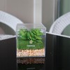 DAMEIORCHID Artificial Plants in Display Boxes, Small Plant POTS, Ideal