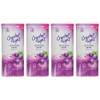 Crystal Light Concord Grape Drink Mix (Pack of 4)