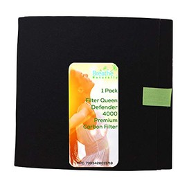 Replacement Carbon Filter for Filter Queen Defender 4000 Series Air Purifiers (1 Pack)