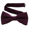 JEMYGINS Men's Bow Tie, Chestnut, Simple, Accessory, Wedding, Reception, After-Party,
