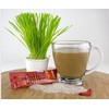 Bio Coffee - NEW! - First Organic Instant Non-dairy Alkaline