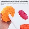 Rotating Stacking Toy for Kids Rainbow Rotating Wheel Toy Fun