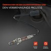 Frankberg Lambda Sensor Control Probe Compatible with RX-8 FE SE