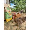Wholesome Harvest All Flock Feed, High Nutrition Layer for Flocks,