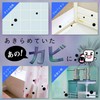 Gekiochi-kun Gekkochi Black Mold-kun Mold Removal Gel 100g