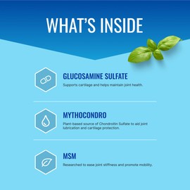 Approved Science Jointprin - Joint Support Supplement - Glucosamine, MSM, Chondroitin, Turmeric, Boswellia, BioPerine - 6 Month Supply