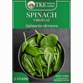 TKE Farms & Gardens - Viroflay Spinach Seeds for Planting, 250+ Heirloom Non-GMO Seeds, Easy Growing Instructions Included, Enjoy Giant, Tender, Nutrient-Packed Leaves