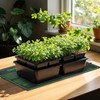 iPower Durable Seedling Heat Mat Warm 10" x 20" -
