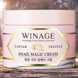 Wenage Skin Moisturizing Skin Texture Snail Magic Cream 1ea 100ml / 위네이지 피부보습 피부결 스네일 매직 크림 1개 100ml