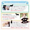 Warm family Dog Nail Clippers, Trimming Table, Nail Clippers, Grooming